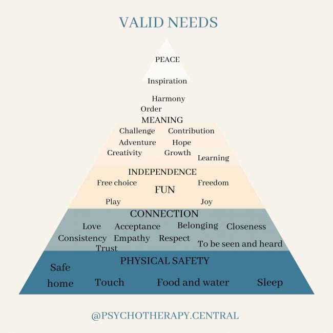 Valid Needs