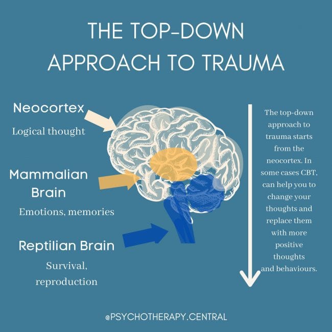 The-top-down-apprach-to-trauma