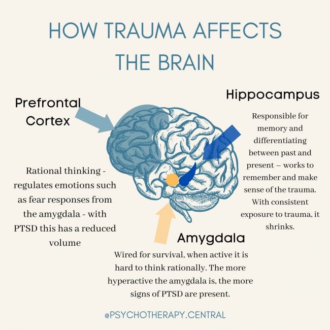 How Trauma Affects the Brain