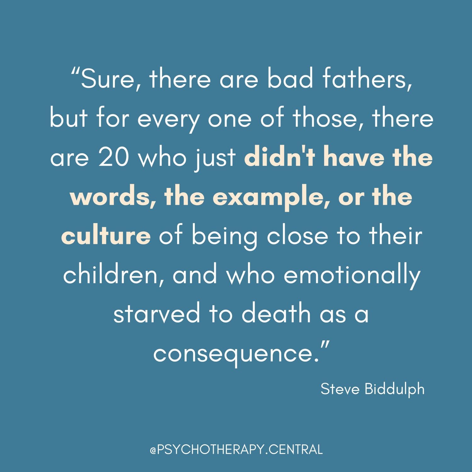 Steve Biddulph Quote