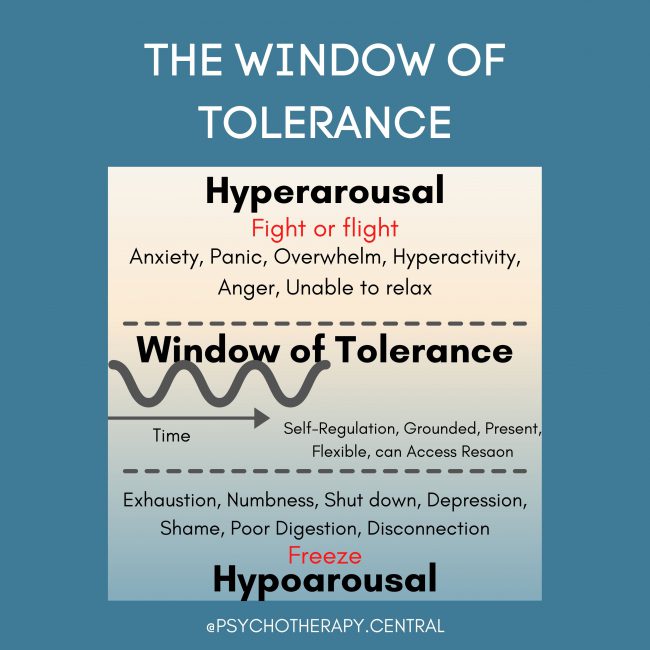what is the window of tolerance