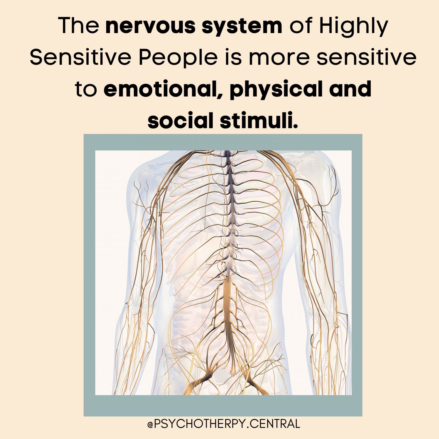 The Nervous System of Highly Sensitive People