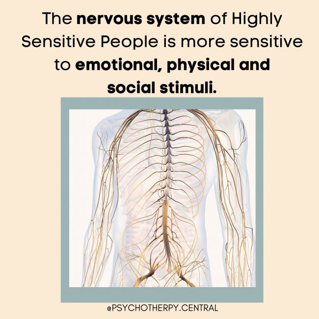 The Nervous System of Highly Sensitive People