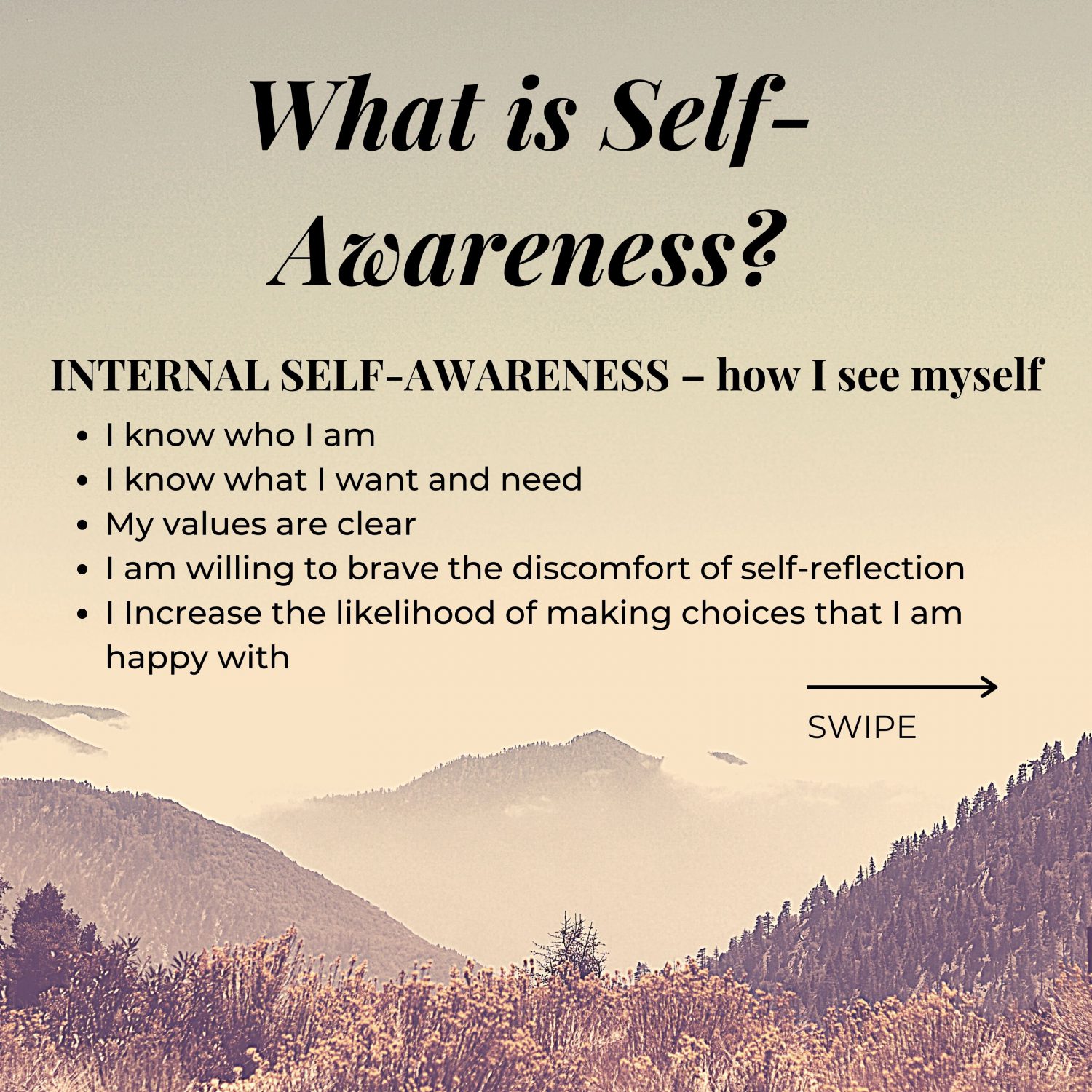 what is self awareness