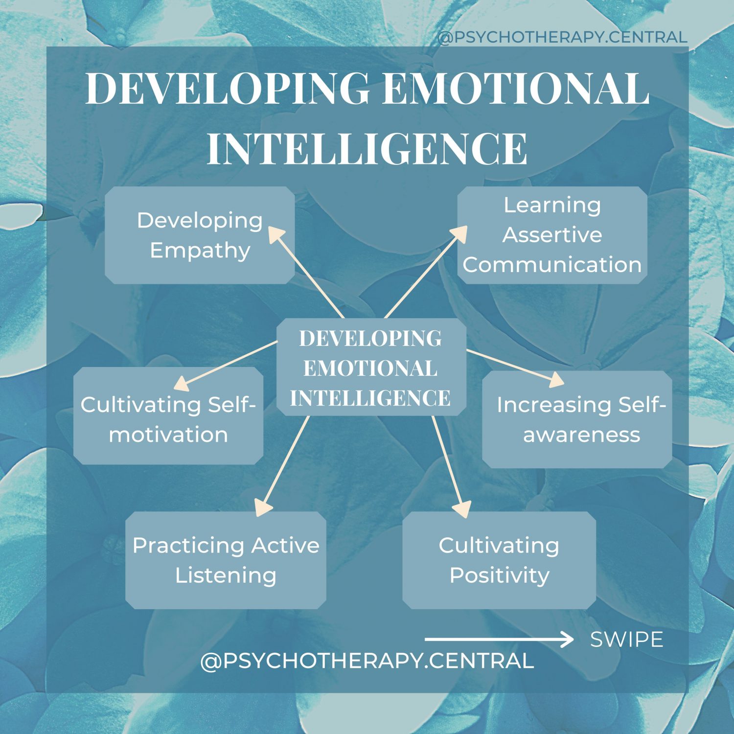 Developing Emotional Intelligence