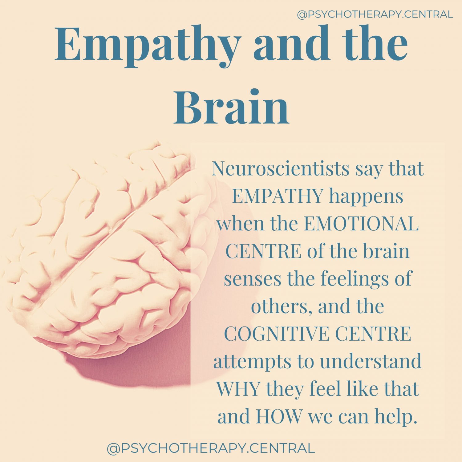 empathy and the brain