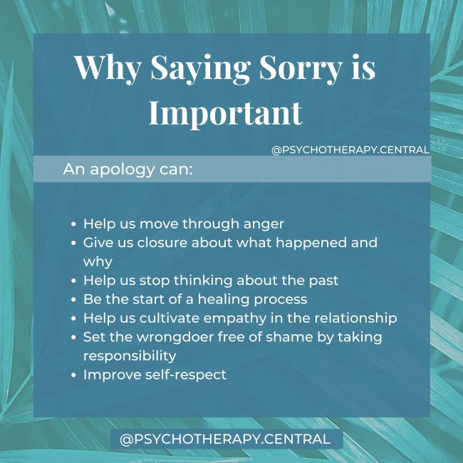 Why Saying Sorry is Important