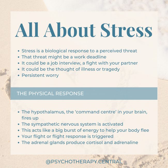ALL ABOUT STRESS… Stress is a biological response to a perceived threat That threat might be a work deadline It could be a job interview, a fight with your partner It could be the thought of illness or tragedy Persistent worry