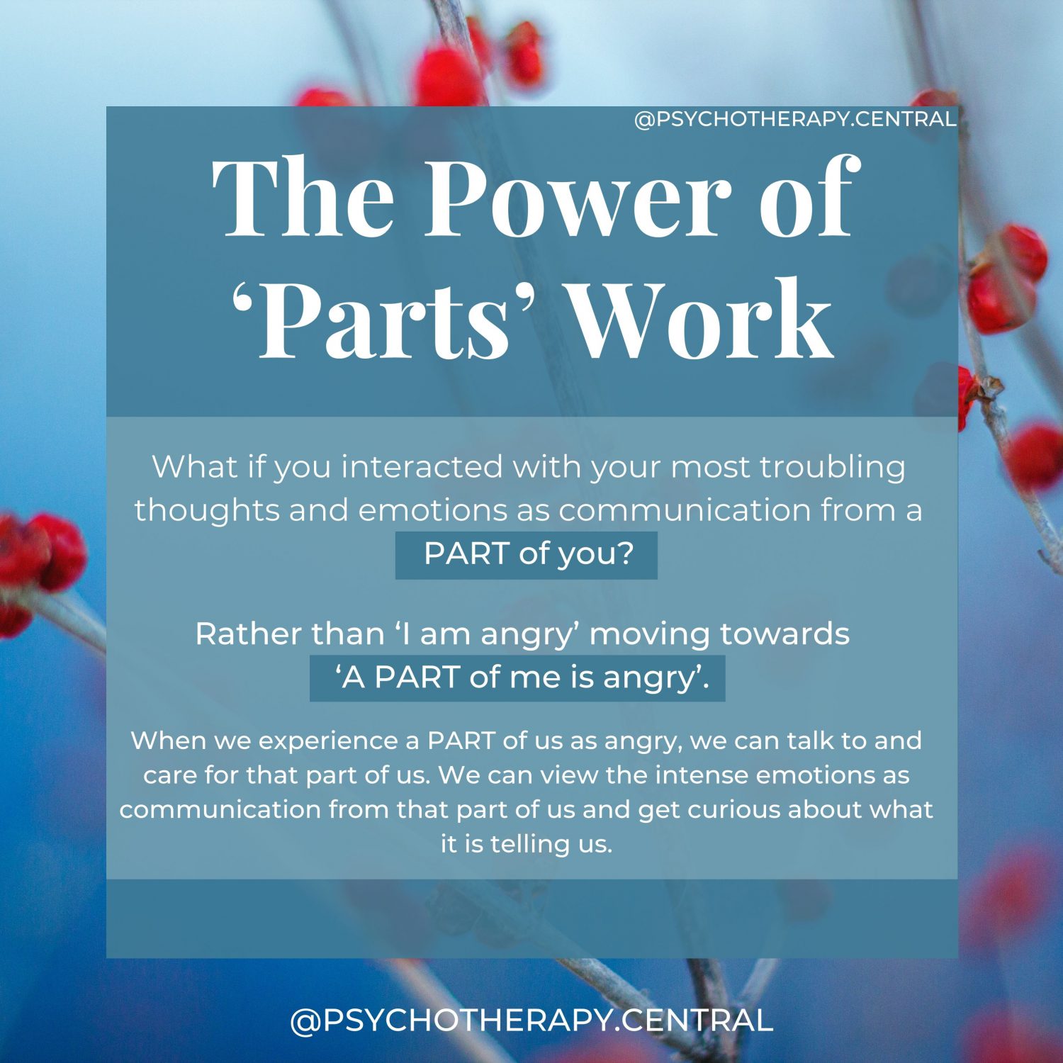 The Power of ‘Parts’ Work