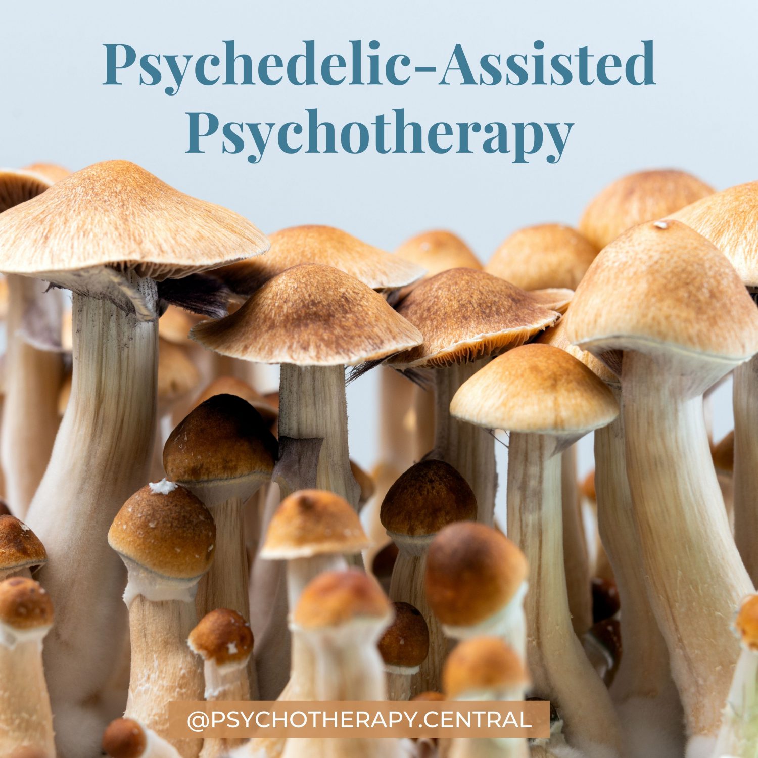 Psychadelic-Assisted Psychotherapy