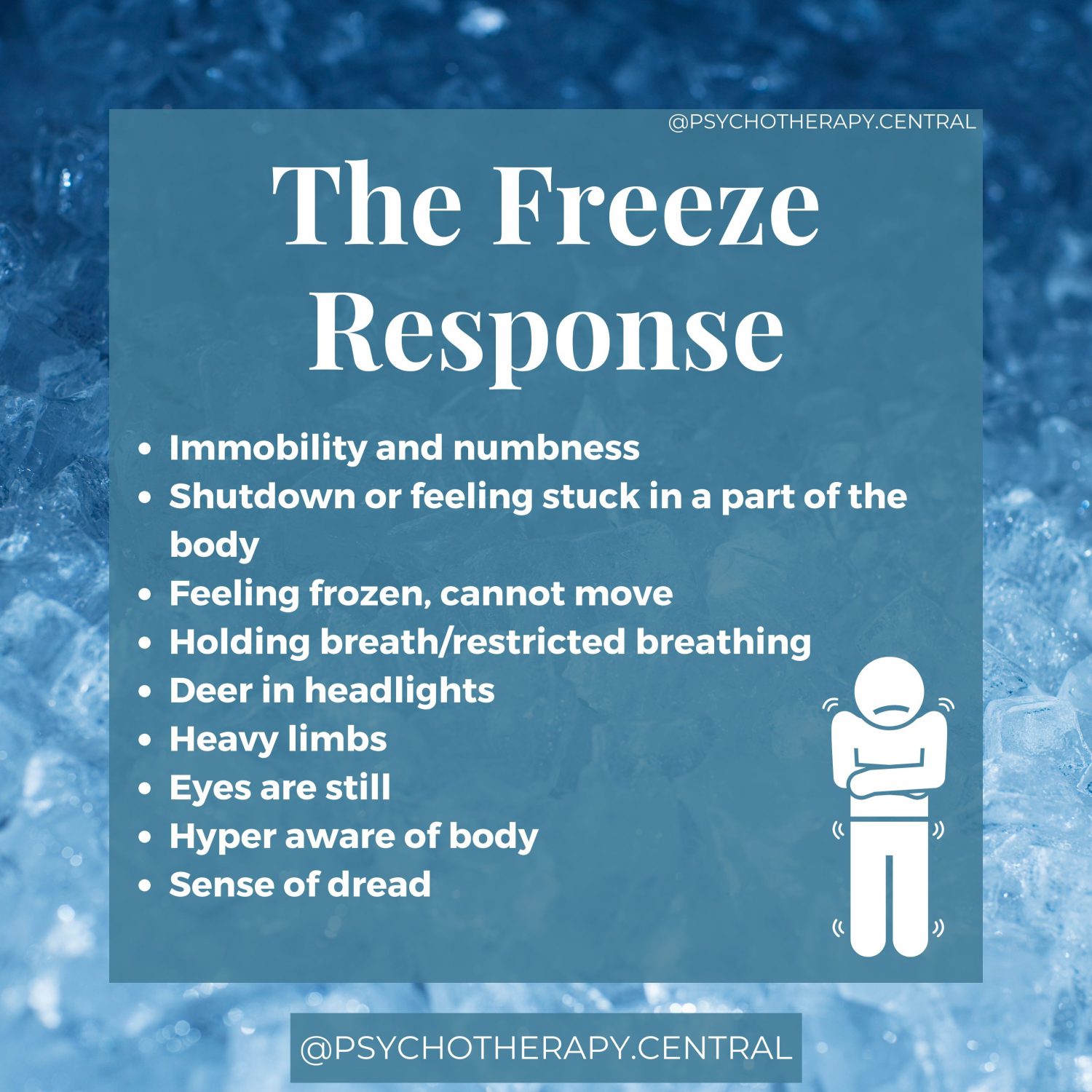 The Freeze Trauma Response Immobility and numbness Shutdown or feeling stuck in a part of the body Feeling frozen, cannot move Holding breath/restricted breathing Deer in headlights Heavy limbs Eyes are still Hyper aware of body Sense of dread