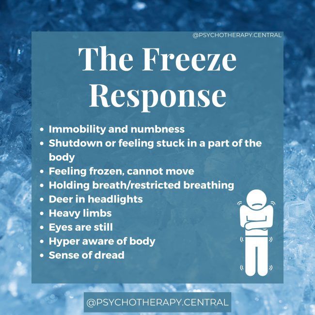 The Freeze Trauma Response Immobility and numbness Shutdown or feeling stuck in a part of the body Feeling frozen, cannot move Holding breath/restricted breathing Deer in headlights Heavy limbs Eyes are still Hyper aware of body Sense of dread