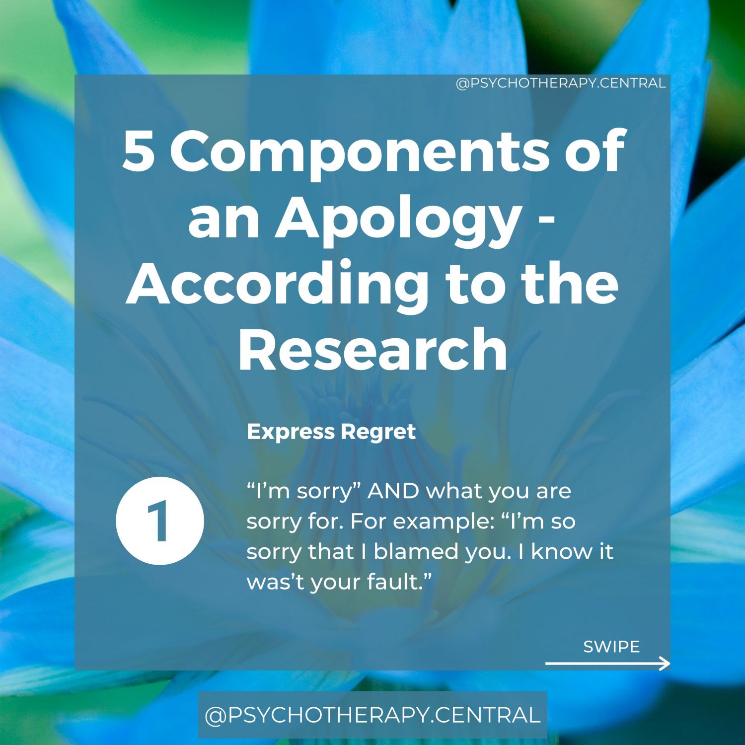 5 Components of an Apology - According to the Research