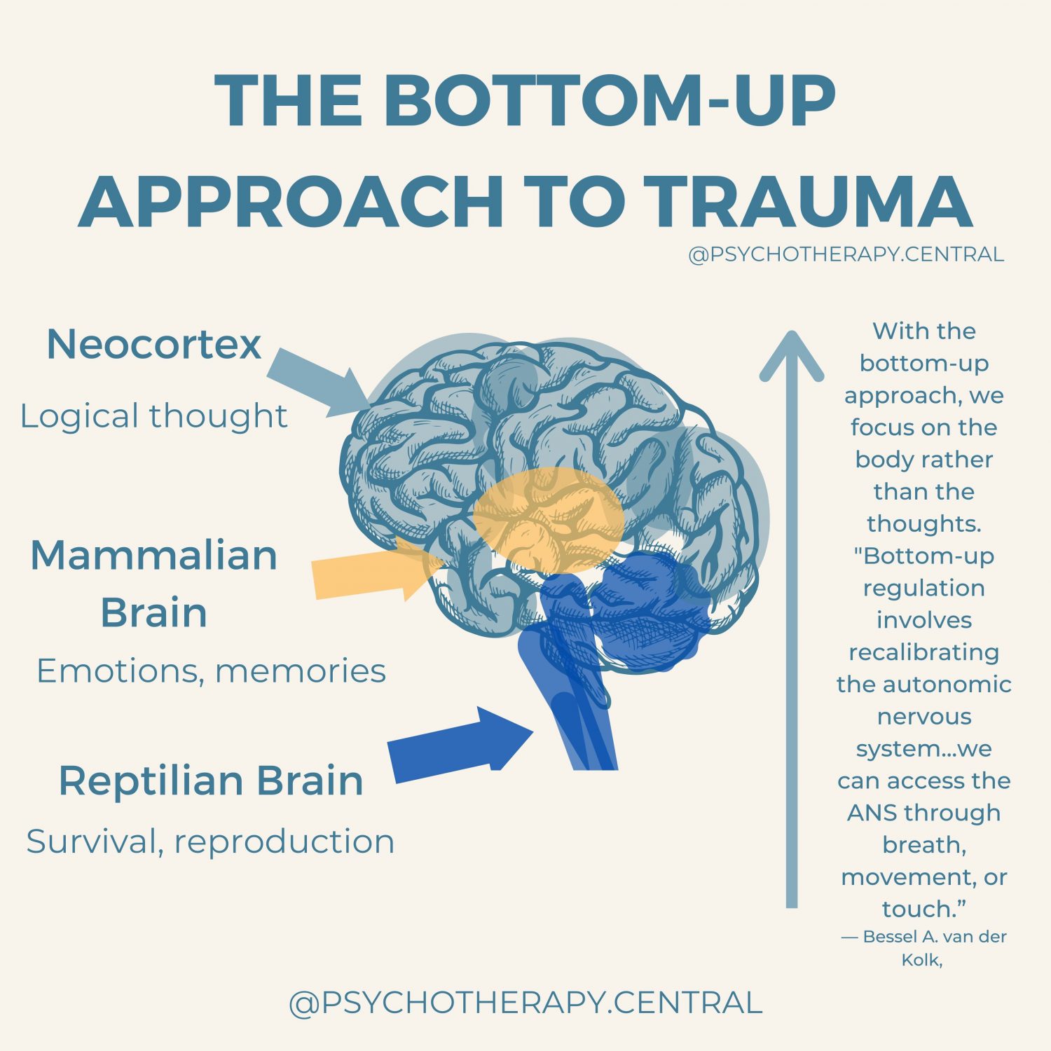 HE BOTTOM-UP APPROACH TO TRAUMA
