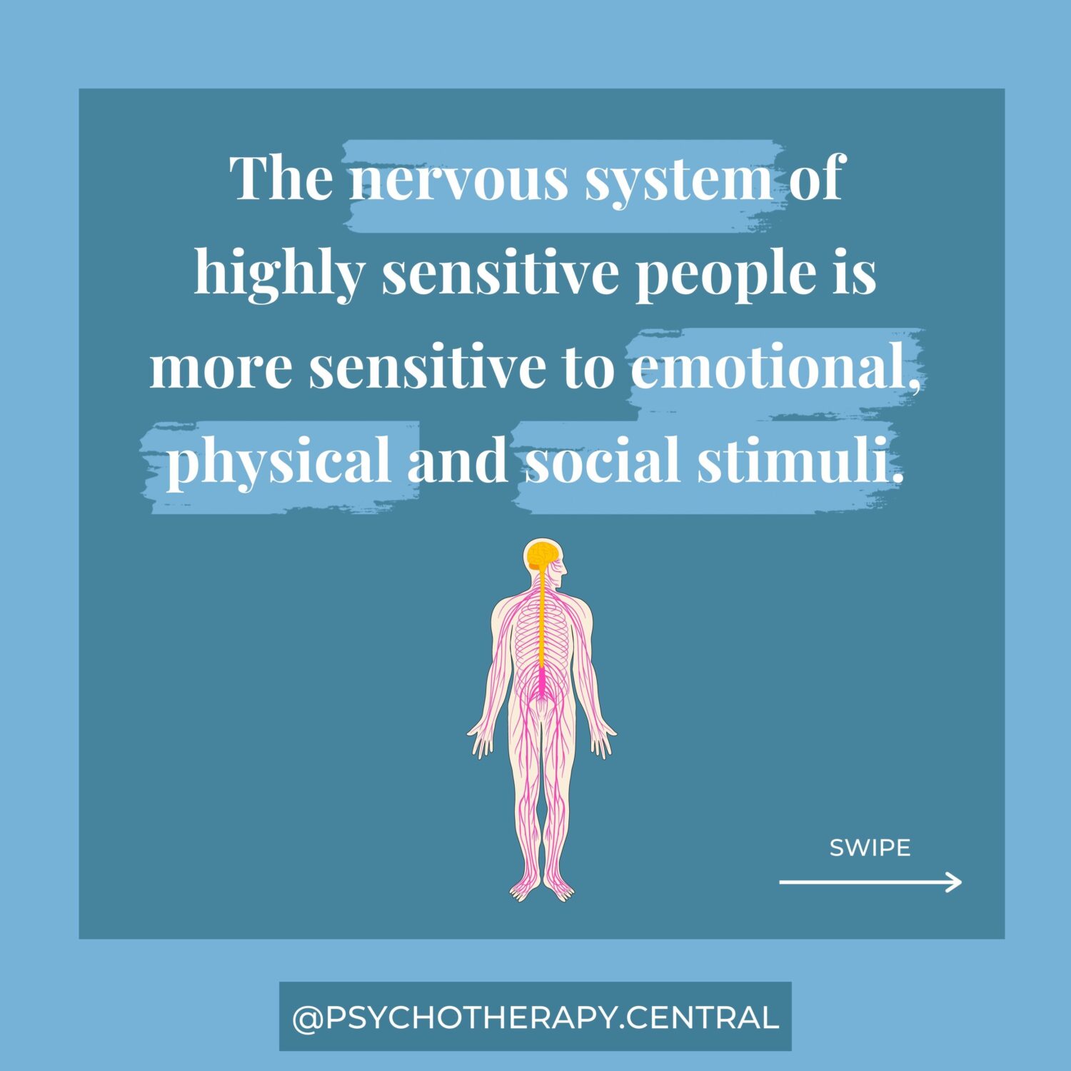 Nervous System Sensitivities in Highly Sensitive people The nervous system of highly sensitive people is more sensitive to emotional, physical and social stimuli.