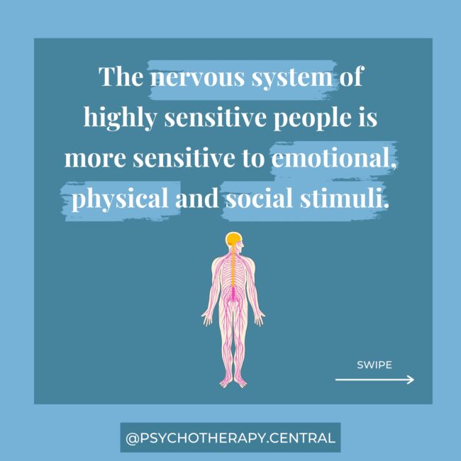 Nervous System Sensitivities in Highly Sensitive people The nervous system of highly sensitive people is more sensitive to emotional, physical and social stimuli.