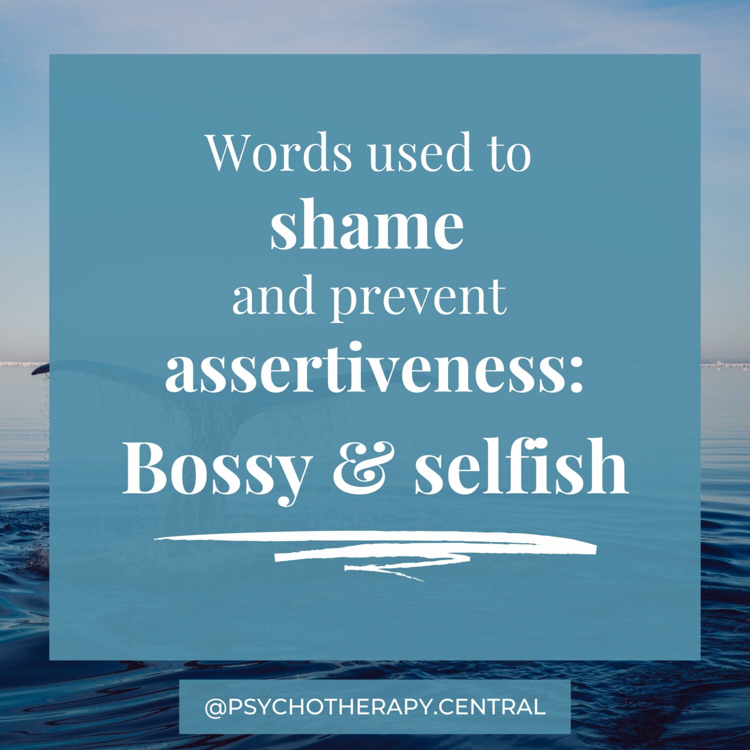 Words used to shame and prevent assertiveness: Bossy & selfish