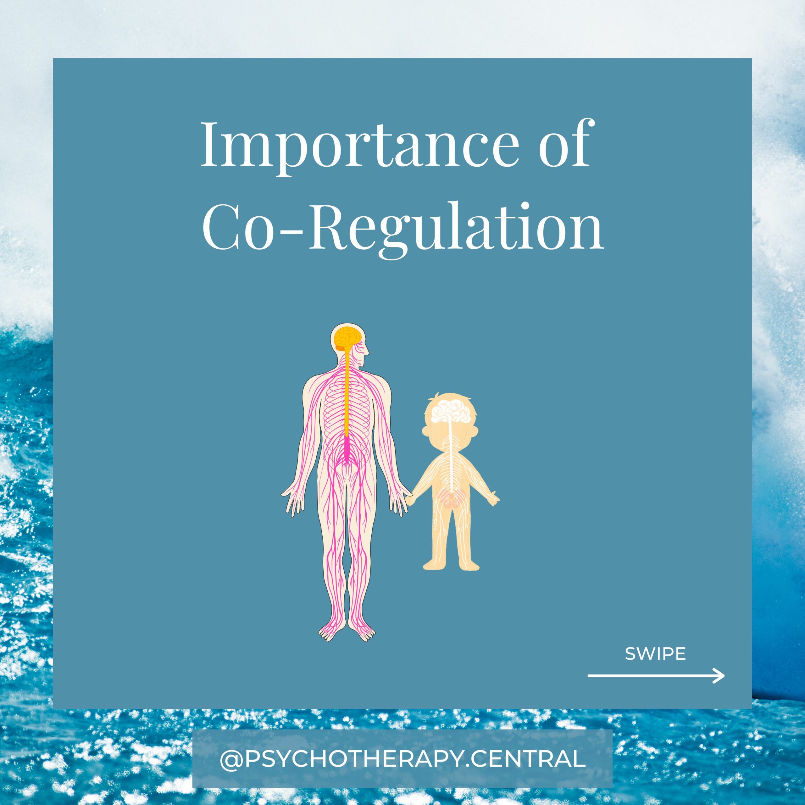 The Importance Of Co-Regulation