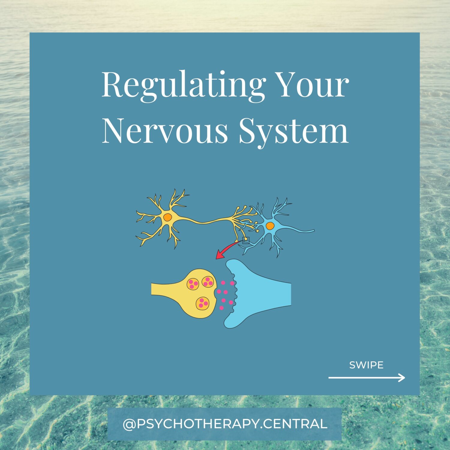 Regulating Your Nervous System