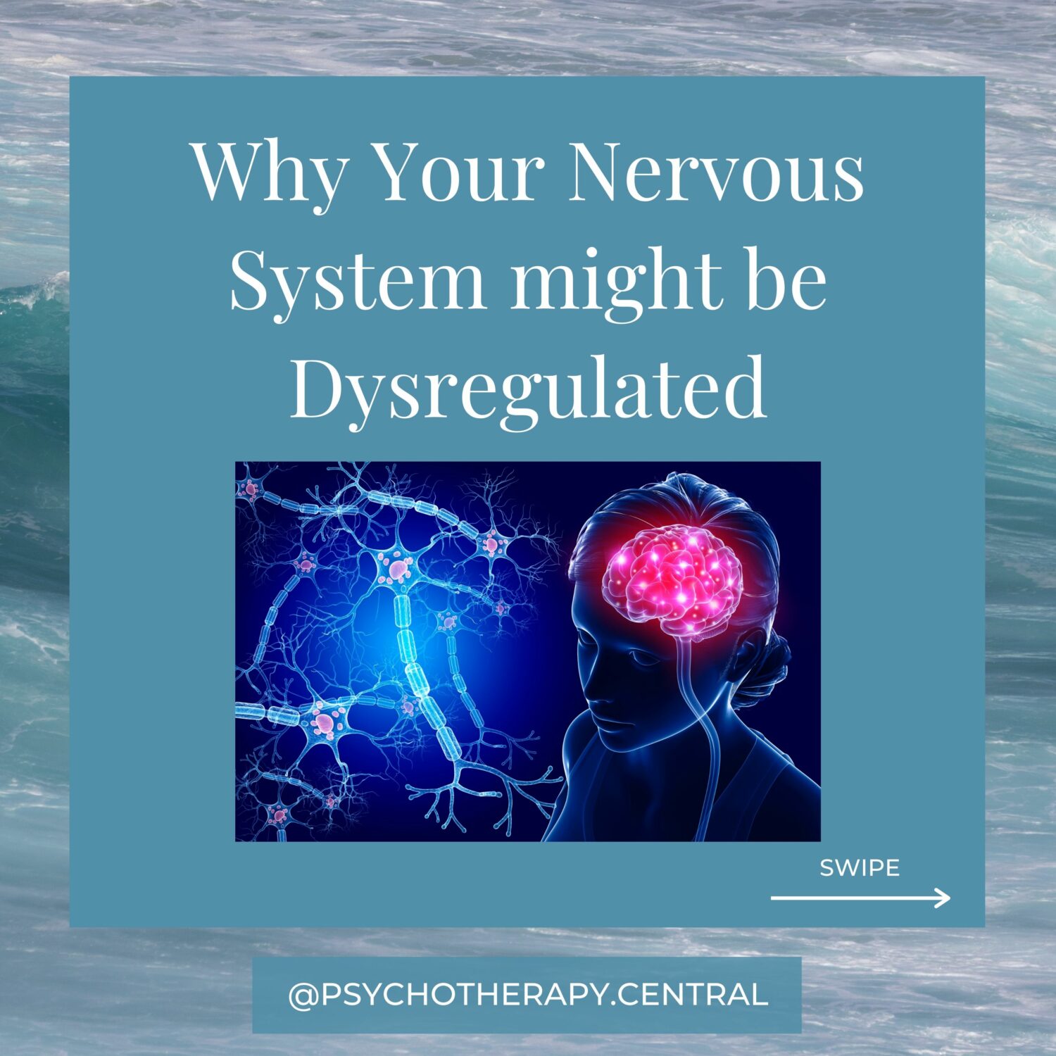Why Your Nervous System might be Dysregulated