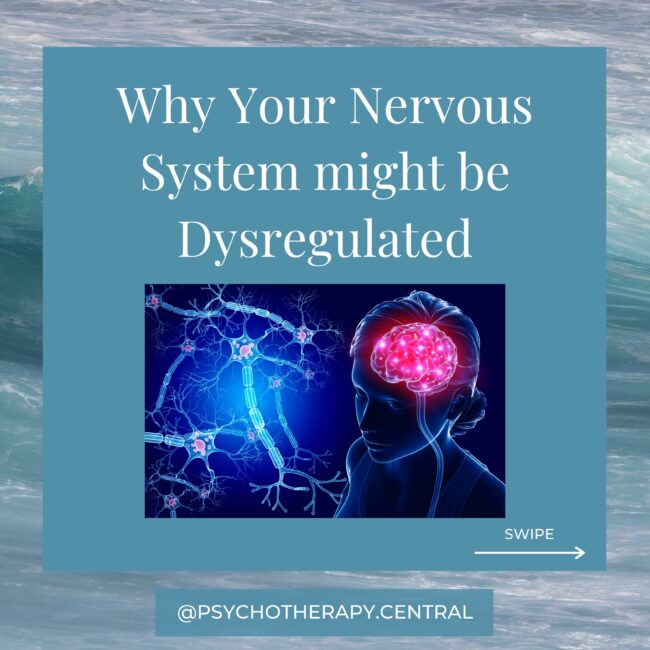 Why Your Nervous System might be Dysregulated