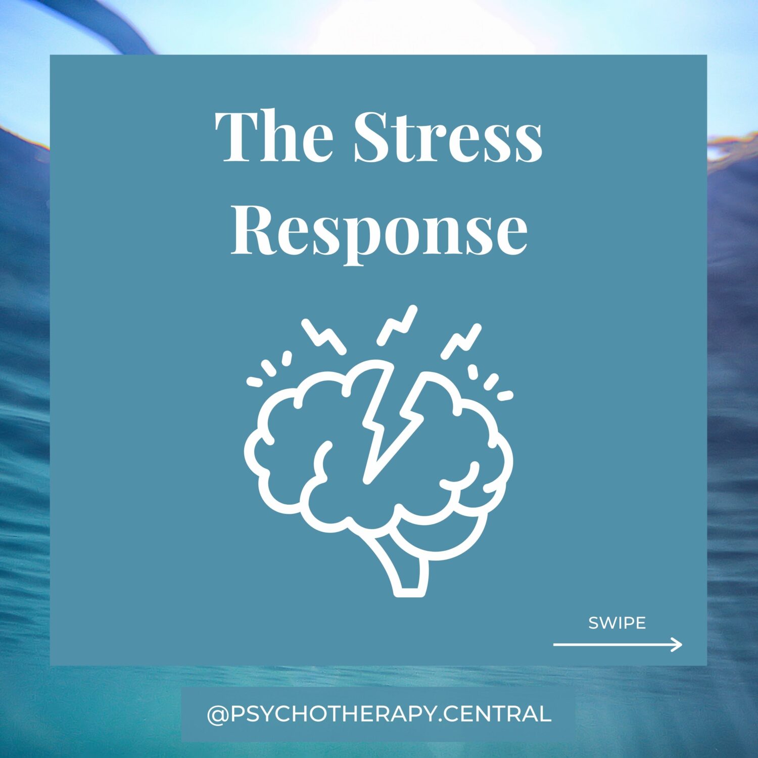 ALL ABOUT STRESS… Stress is a biological response to a perceived threat That threat might be a work deadline It could be a job interview, a fight with your partner It could be the thought of illness or tragedy Persistent worry