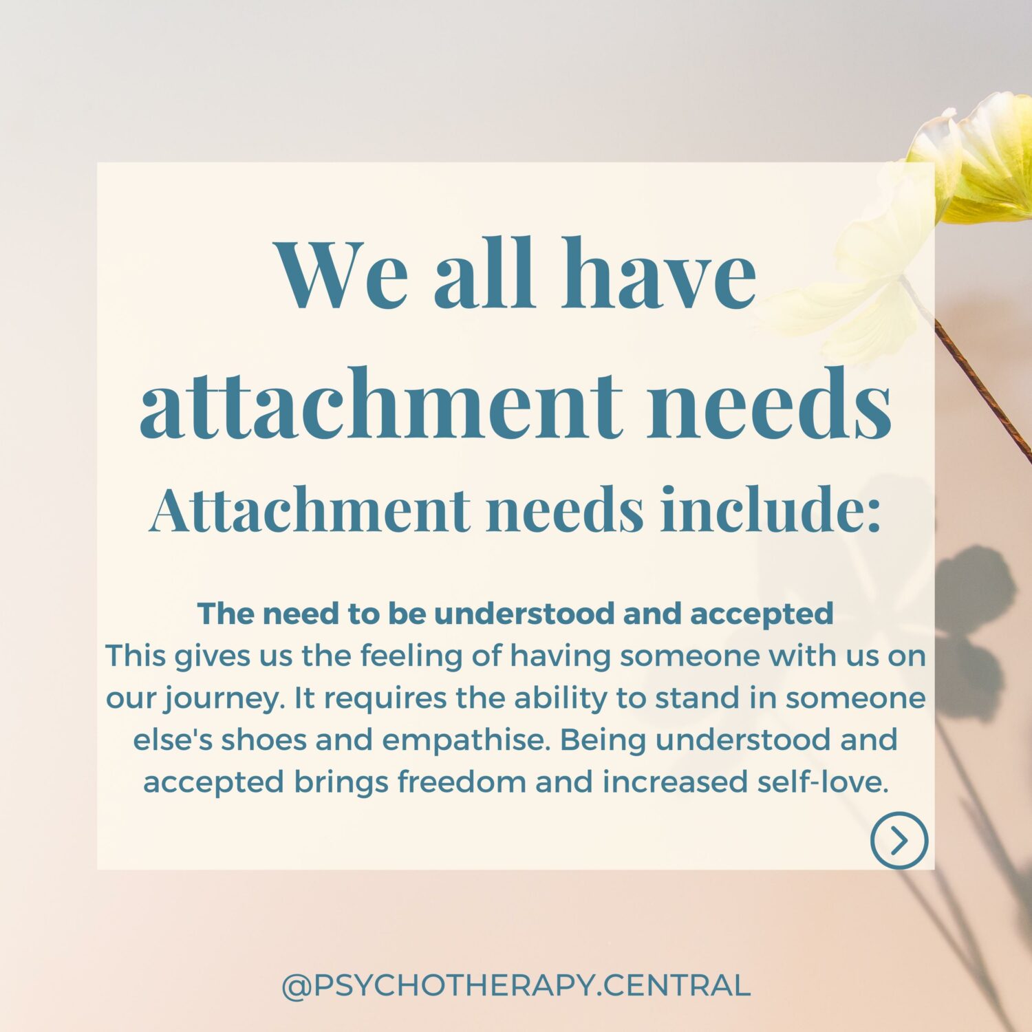 attachment needs