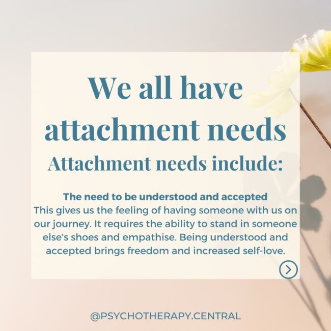 attachment needs